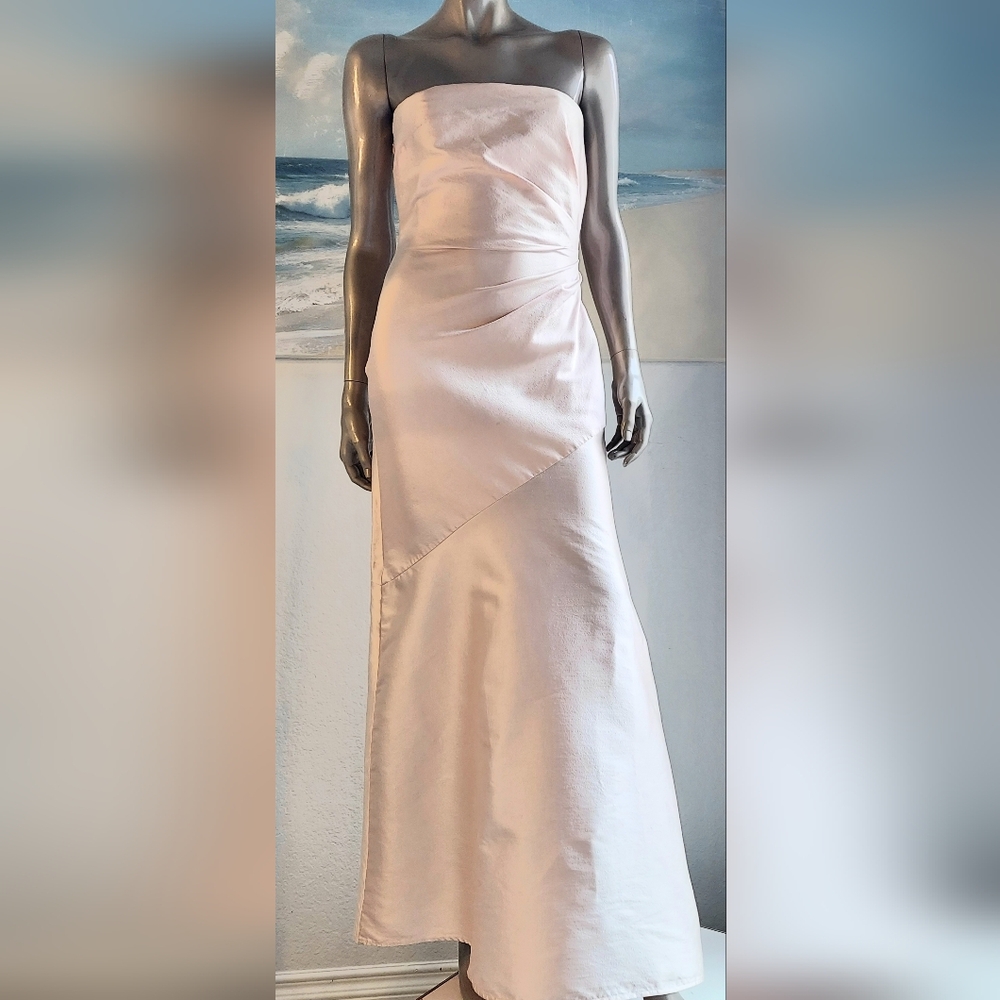 $2,640 NEW PAMELA ROLAND BLUSH PINK PURE SILK RUNWAY DRESS GOWN US 2